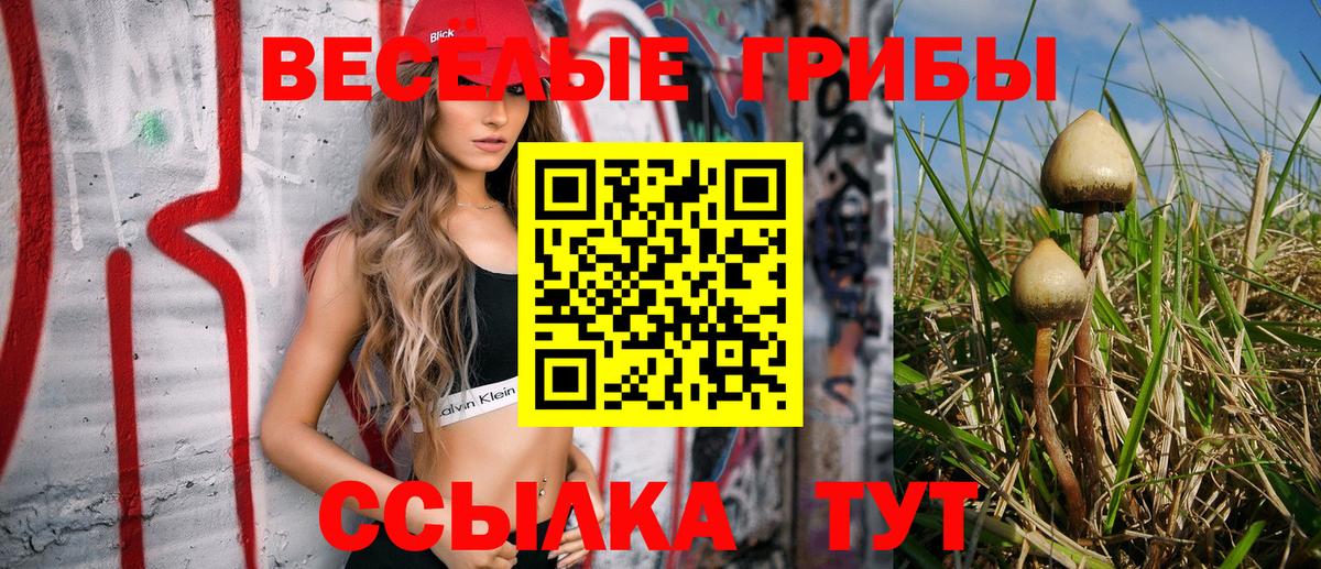 Галлюциногенные грибы мухоморы  Вход с VPN  Белебей 