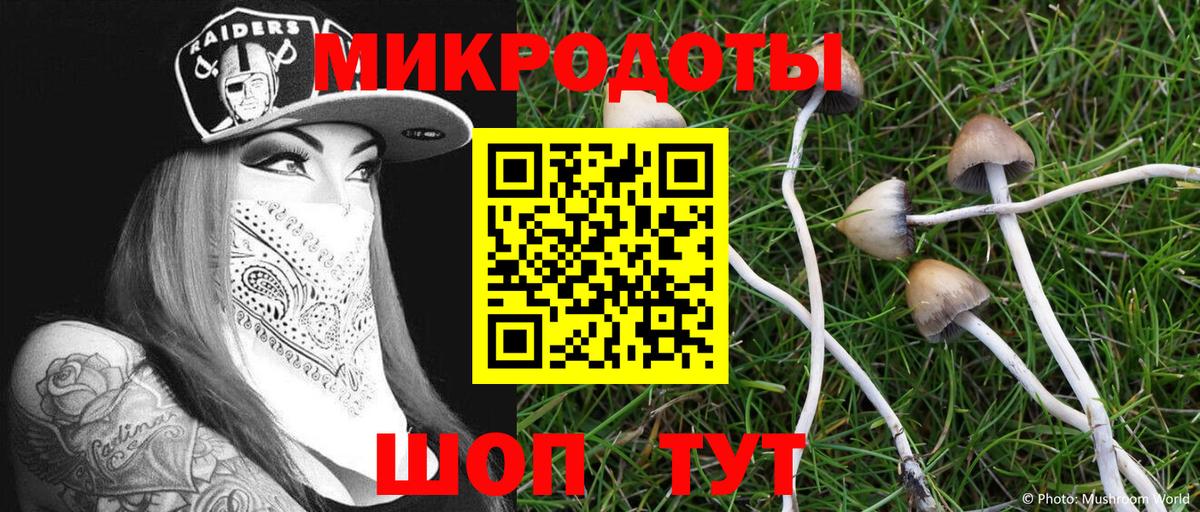 Псилоцибиновые грибы ЛСД Белебей